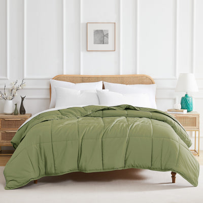 Front View of Vilano Down Alternative Comforter in sage-green#color_vilano-sage-green