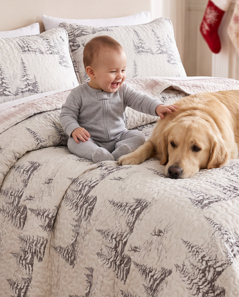 Frosted Pines Reversible Quilt Set