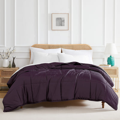 Front View of Vilano Down Alternative Comforter in purple#color_vilano-purple